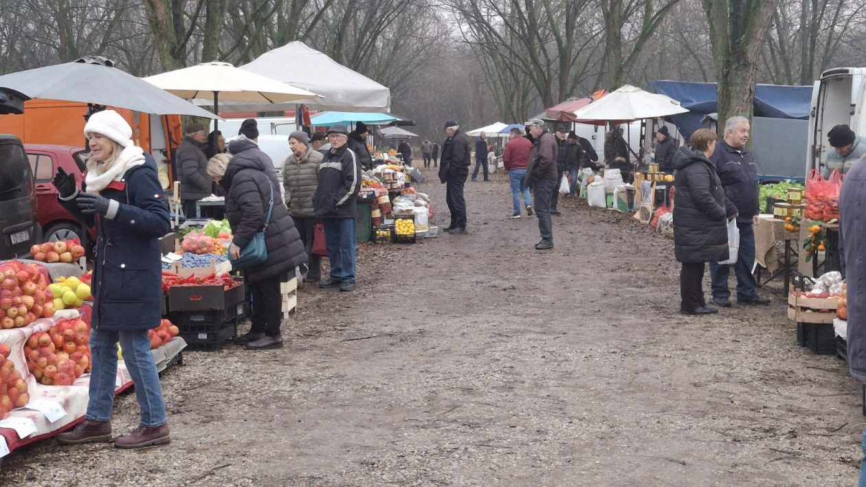 studeni sajam srijedom (5)