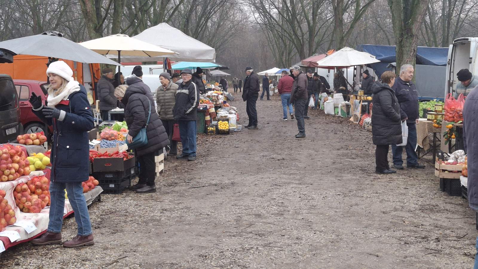 studeni sajam srijedom (5) studeni sajam srijedom (5)