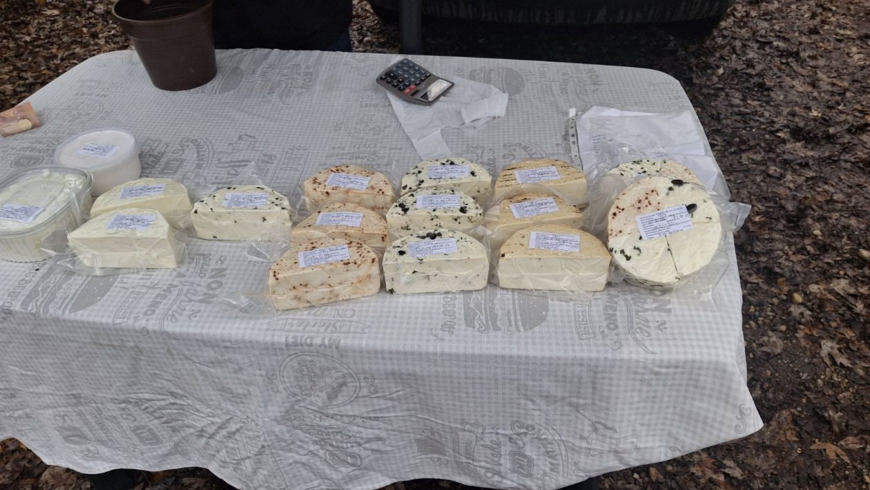 studeni sajam srijedom (6)