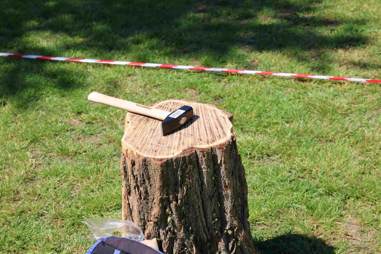 šumoposjednici (11)