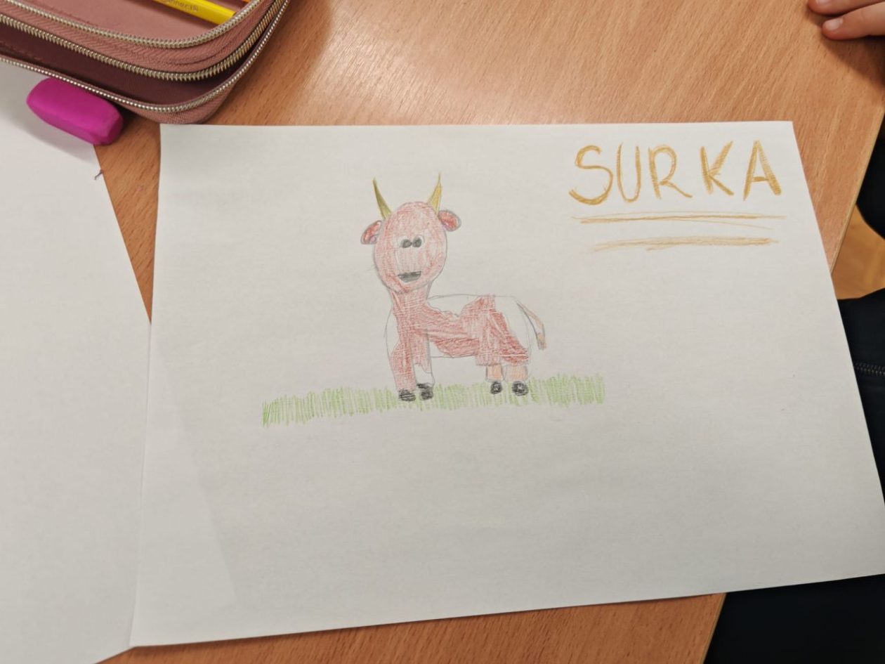 surka 7