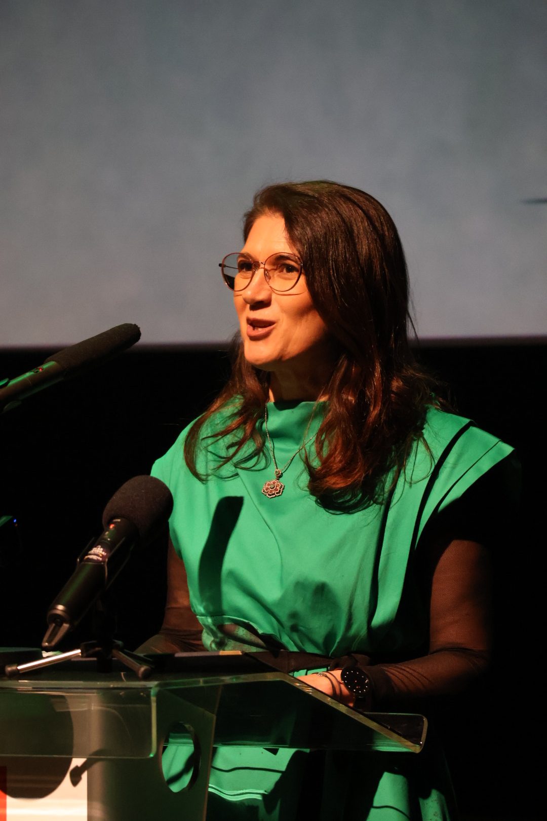 svečana sjednica MŽ (1)