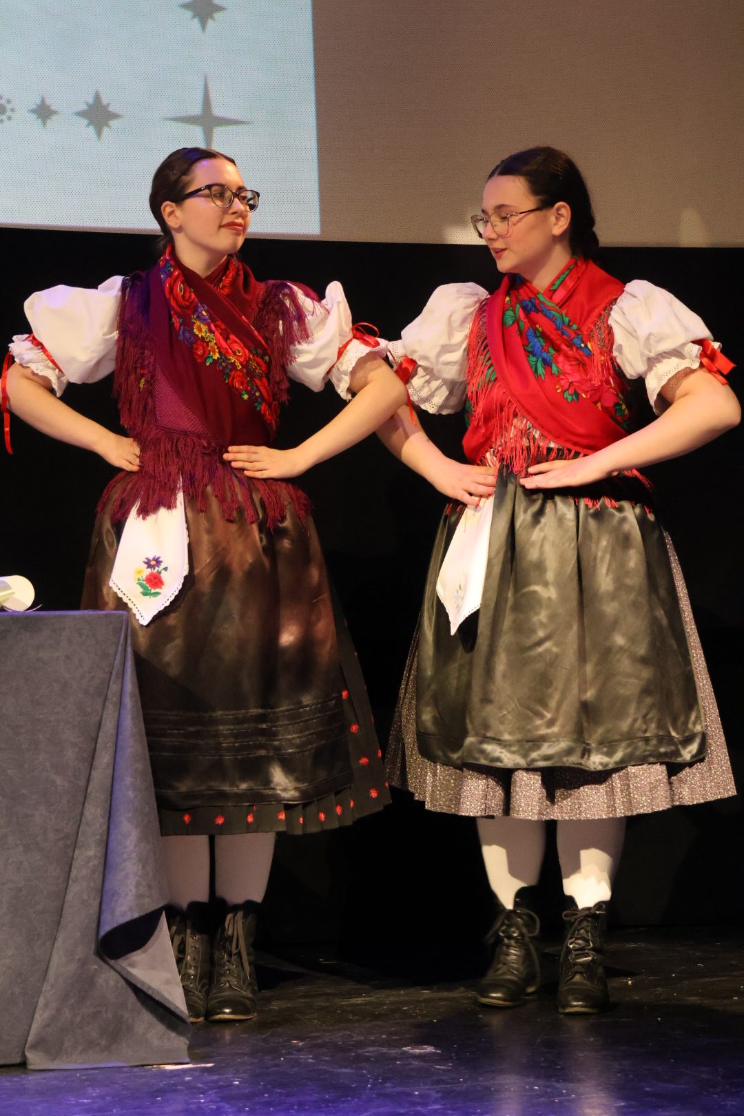 svečana sjednica MŽ (60)