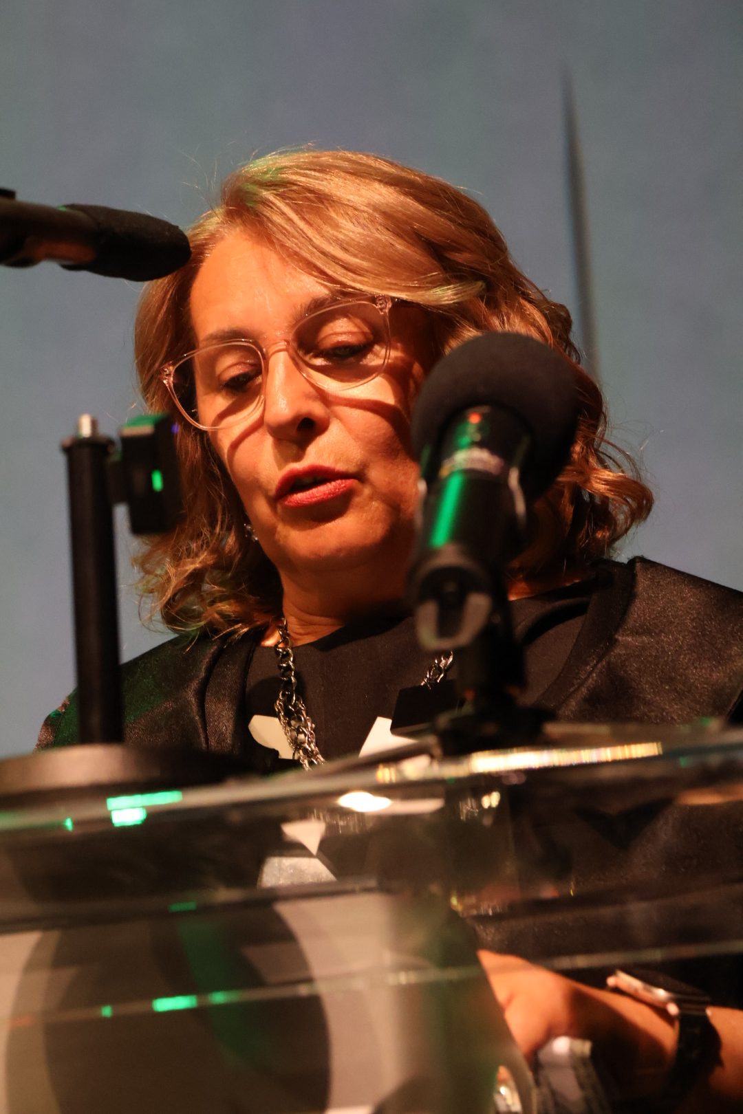 svečana sjednica MŽ (76)