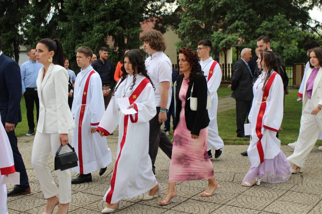 sveta potvrda kotoriba, 2025 (16)