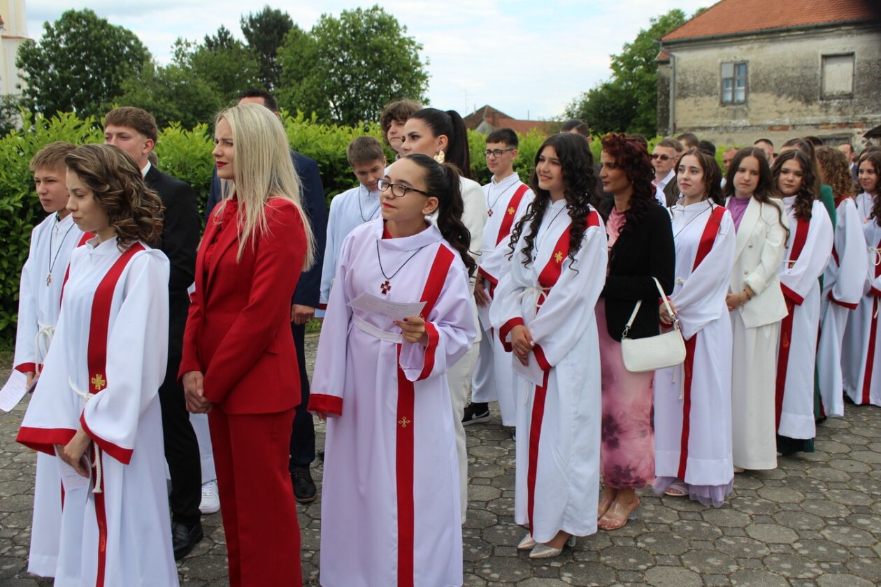 sveta potvrda kotoriba, 2025 (5)