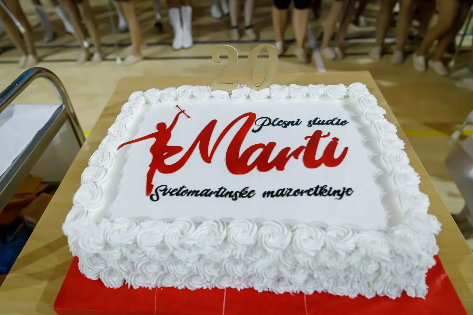 svetomartinske mažoretkinje 20 godina (3)