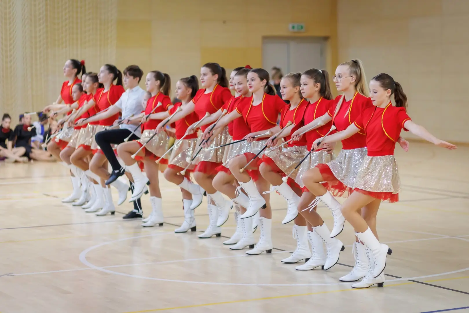 svetomartinske mažoretkinje 20 godina (36)