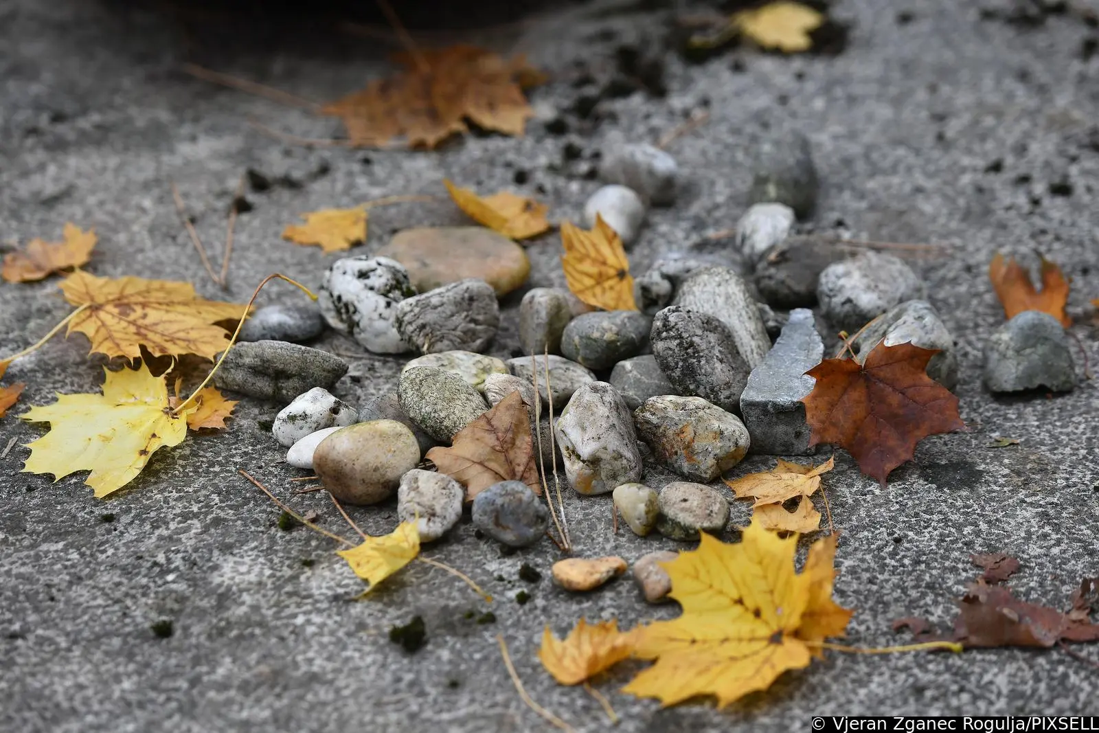 svi sveti čakovec groblje 2024 (7)