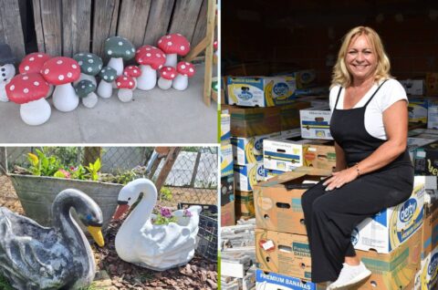 tanja baranašić naslovna