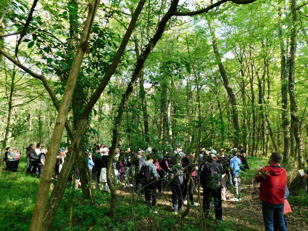 teštetićeve staze,šetnja, brezje (5)