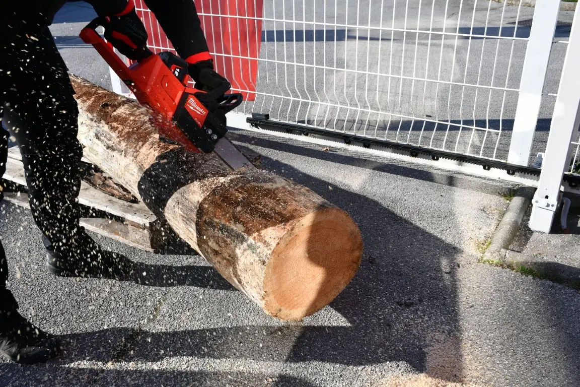 tid extra 2024 (26) (Medium)