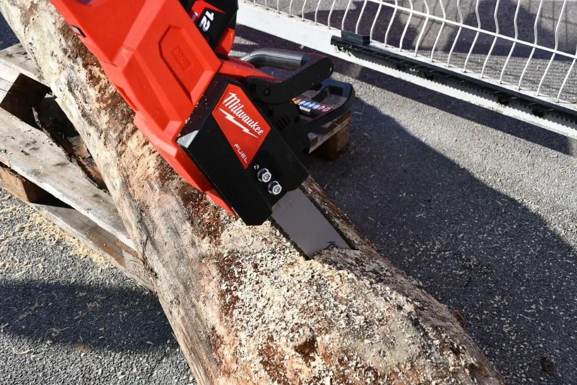 tid extra 2024 (31) (Medium)