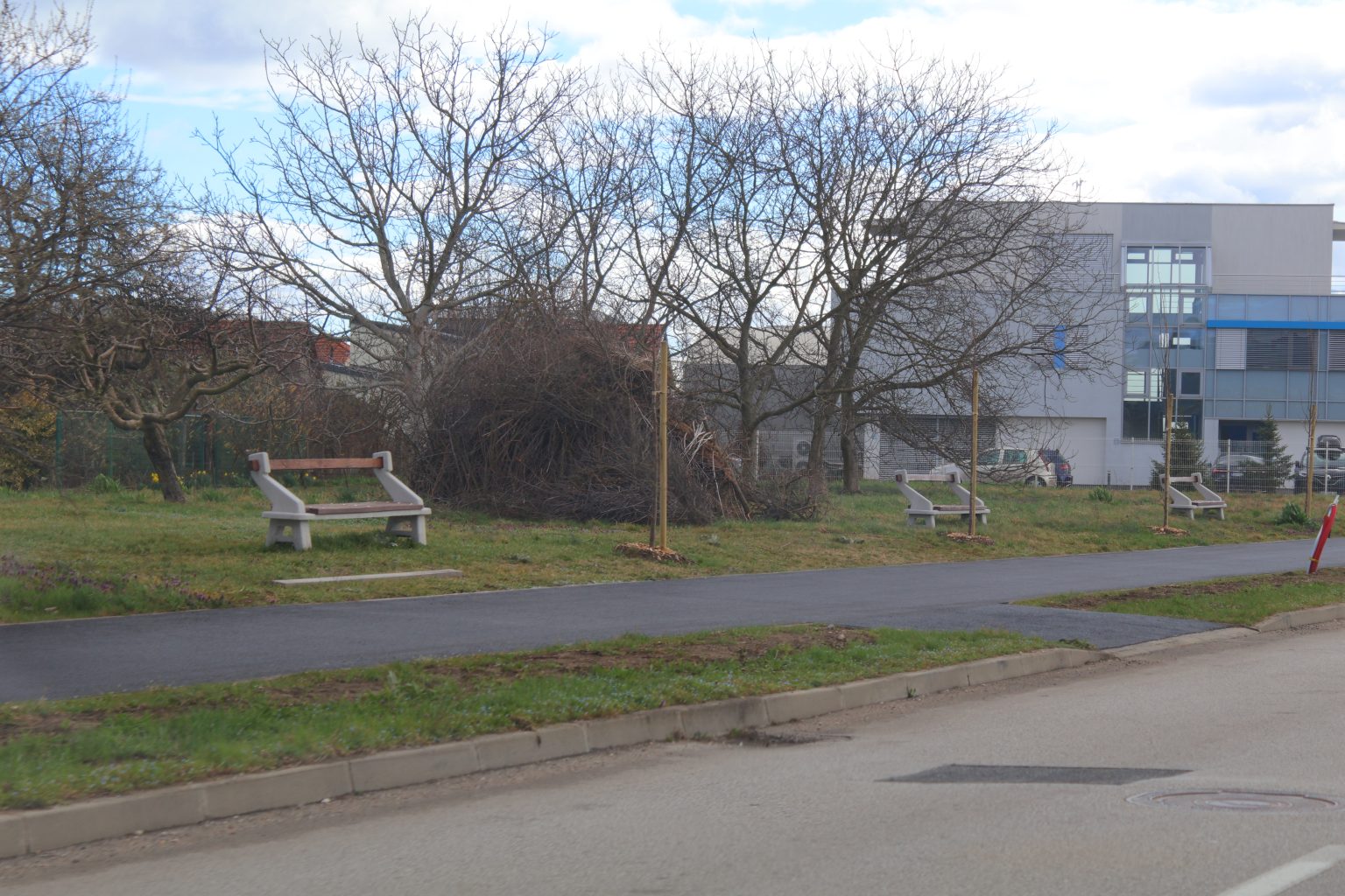 tisuću stabala čakovec (11) tisuću stabala čakovec (11)