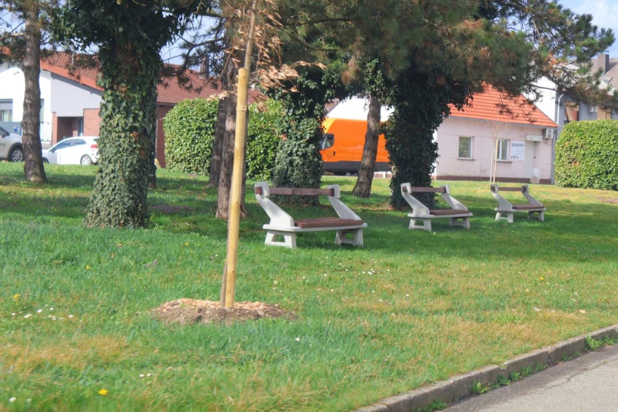 tisuću stabala čakovec (15)