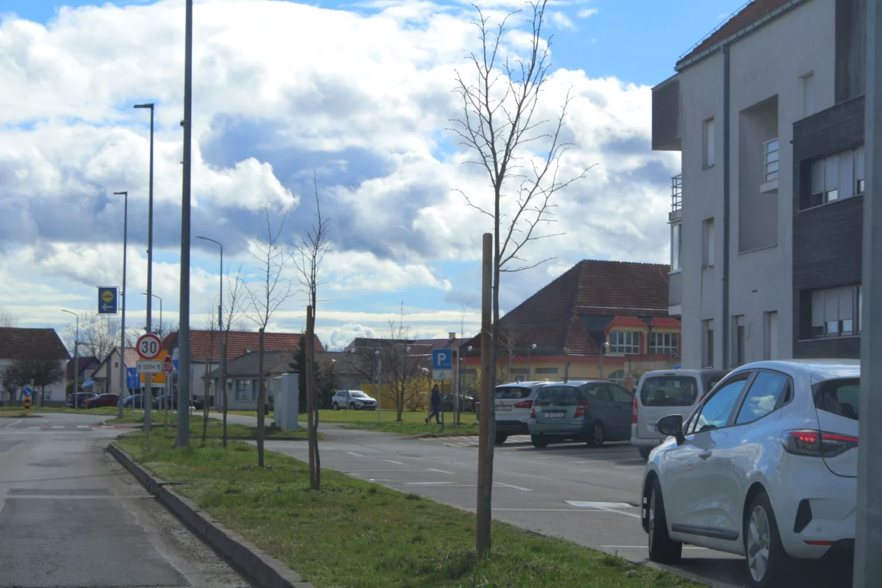 tisuću stabala čakovec (18)