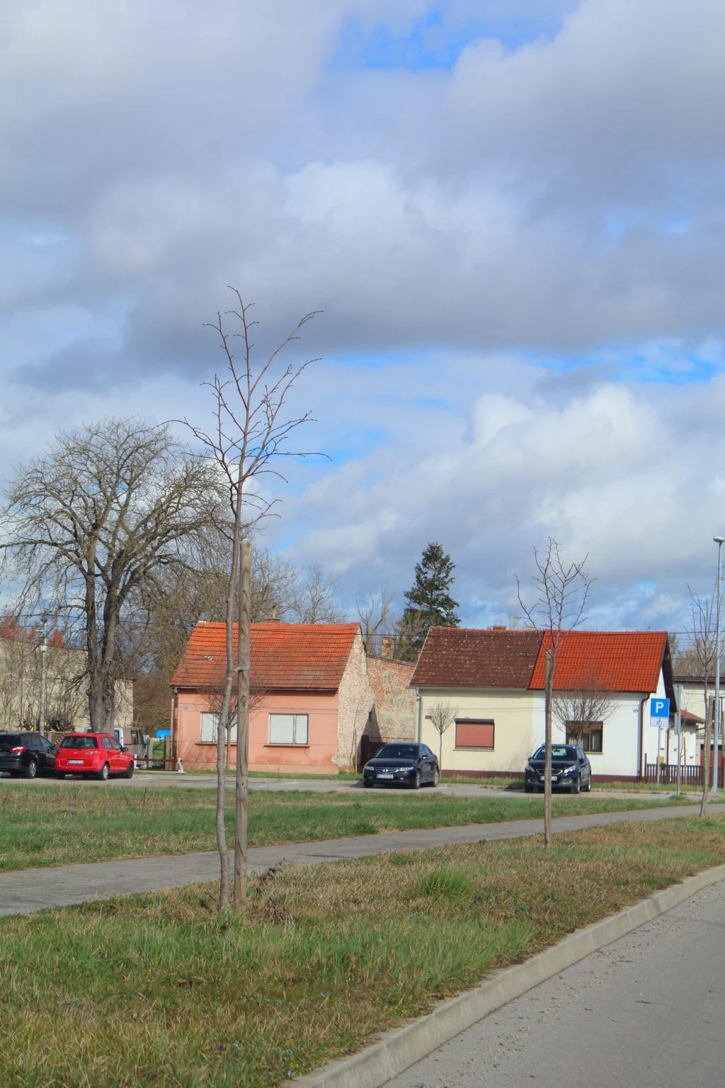 tisuću stabala čakovec (21)