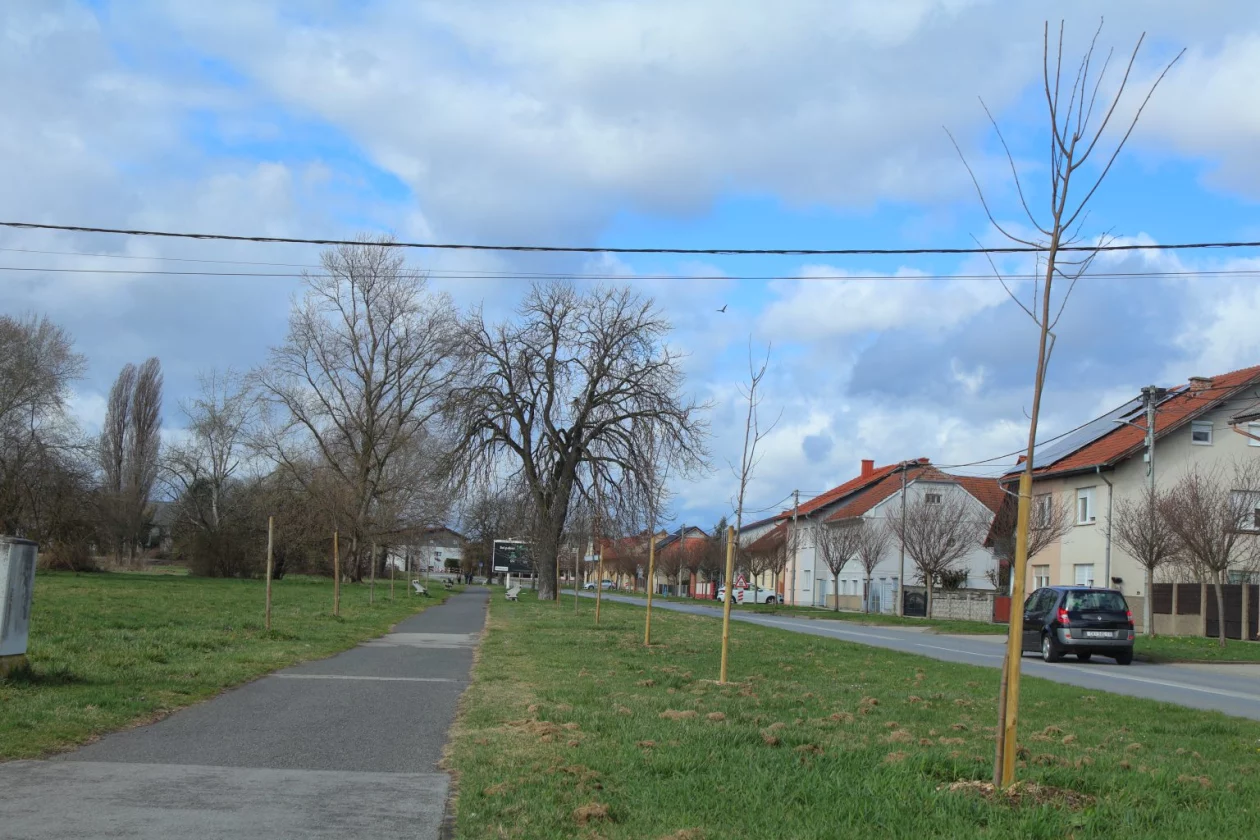 tisuću stabala čakovec (25)