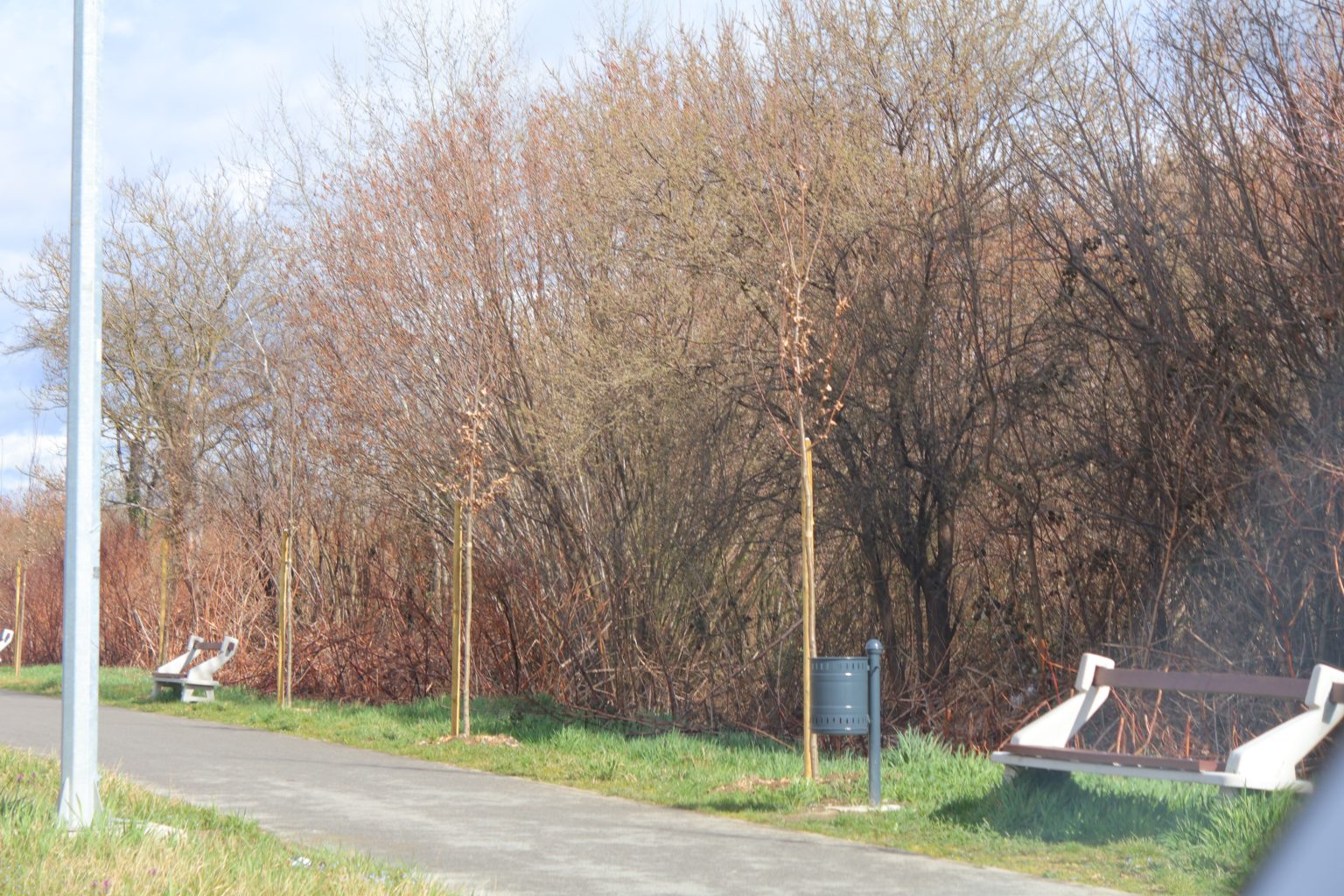 tisuću stabala čakovec (32) tisuću stabala čakovec (32)