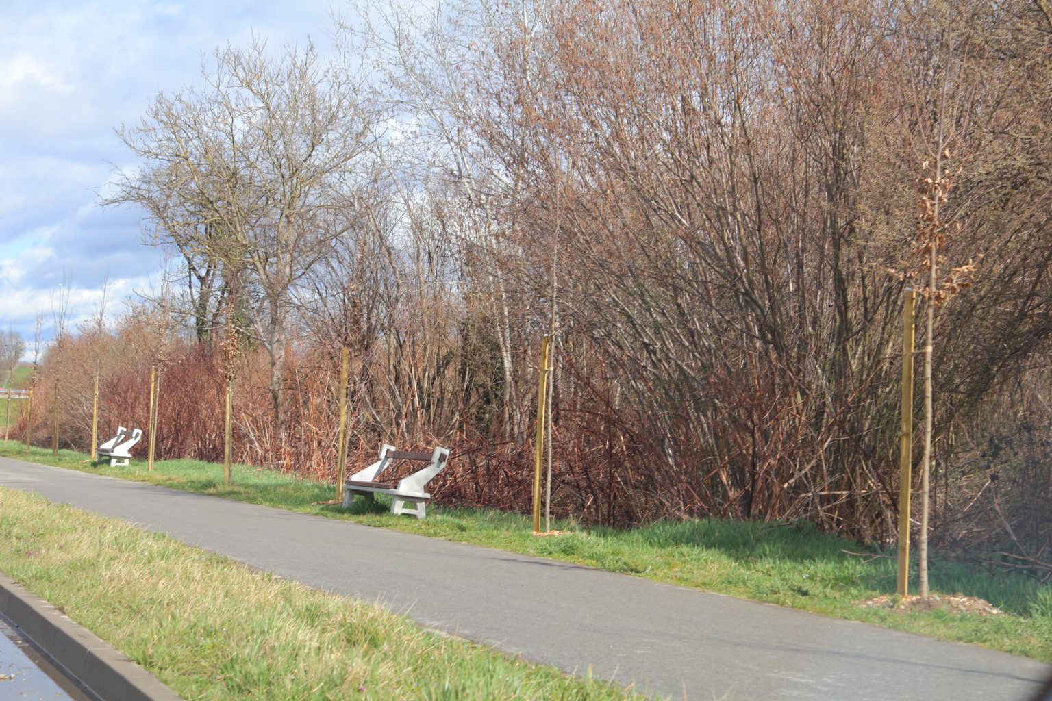 tisuću stabala čakovec (33) tisuću stabala čakovec (33)