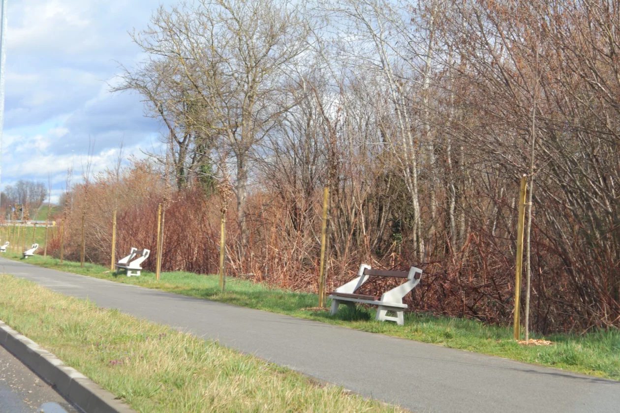 Grad Čakovec, tisuću stabala