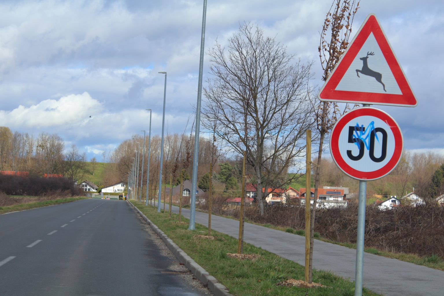 tisuću stabala čakovec (35) Grad Čakovec, tisuću stabala