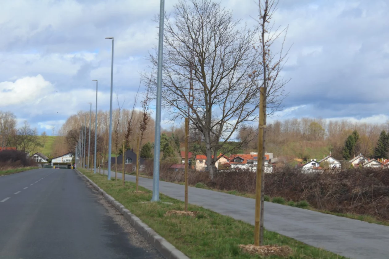 Grad Čakovec, tisuću stabala