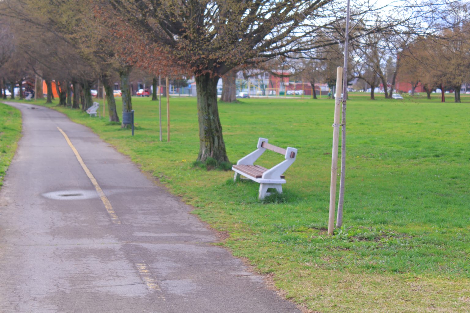 tisuću stabala čakovec (5) tisuću stabala čakovec (5)