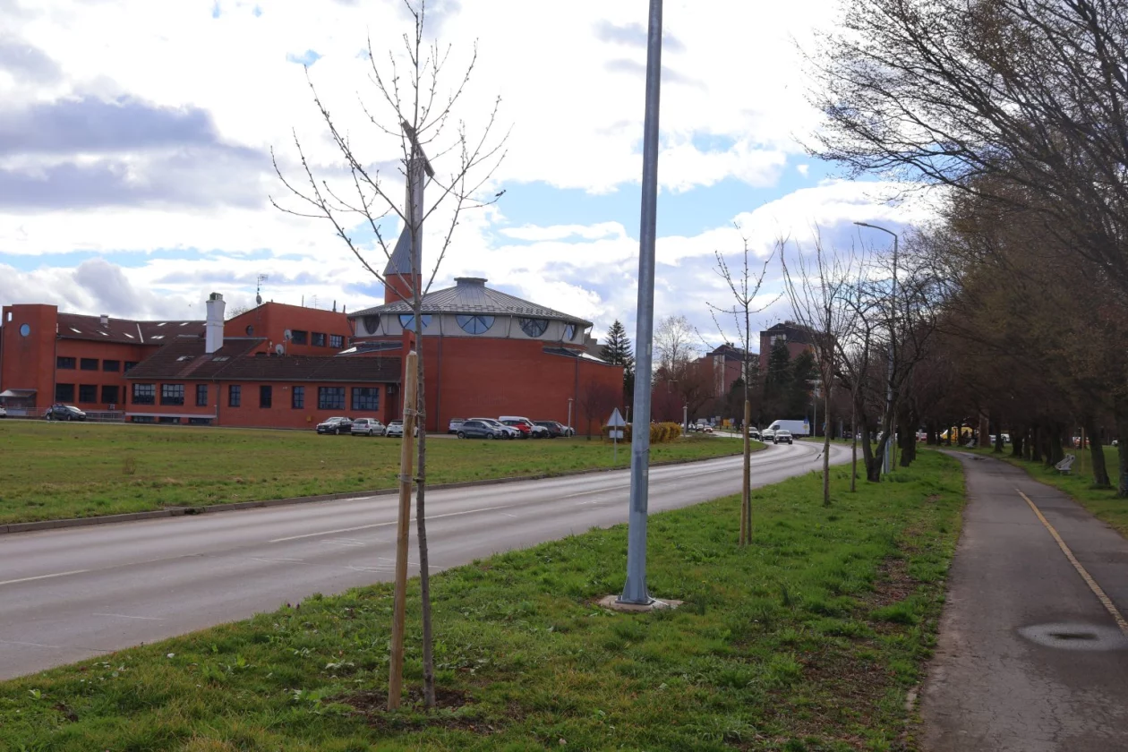 tisuću stabala čakovec (6)