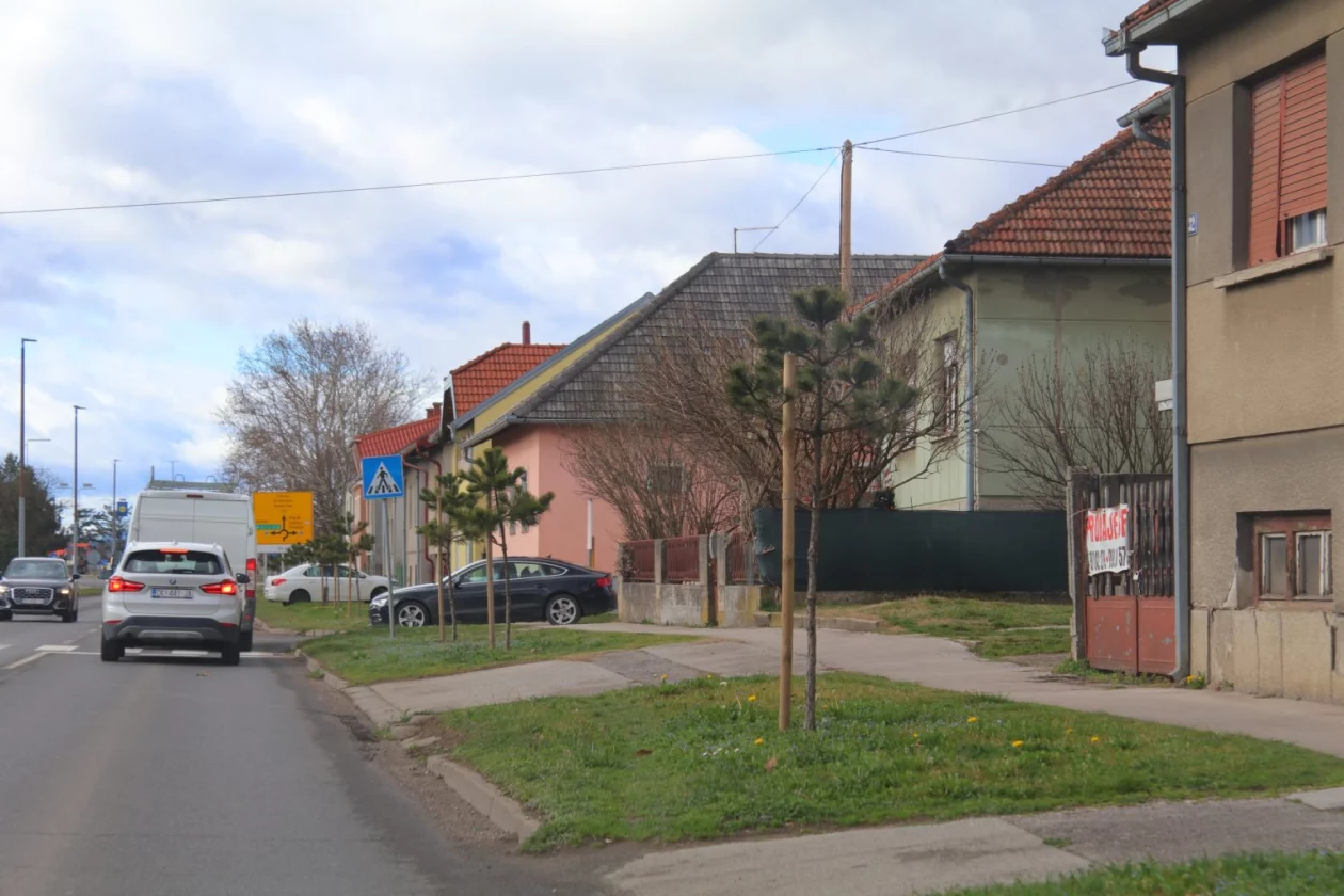 tisuću stabala čakovec (8)