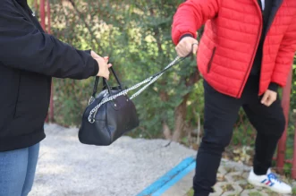 torbica, novčanik, krađa novčanika, torbice – ilustracija (3) torbica, novčanik, krađa novčanika, torbice – ilustracija (3)