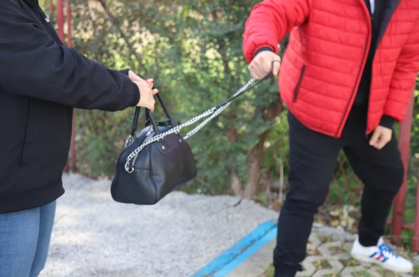 torbica, novčanik, krađa novčanika, torbice – ilustracija (3) torbica, novčanik, krađa novčanika, torbice – ilustracija (3)