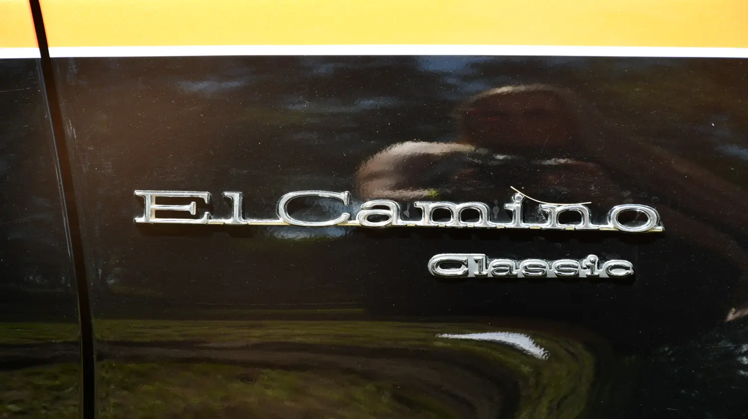 trash and burn, 2024, (12) trash and burn, 2024, (12)