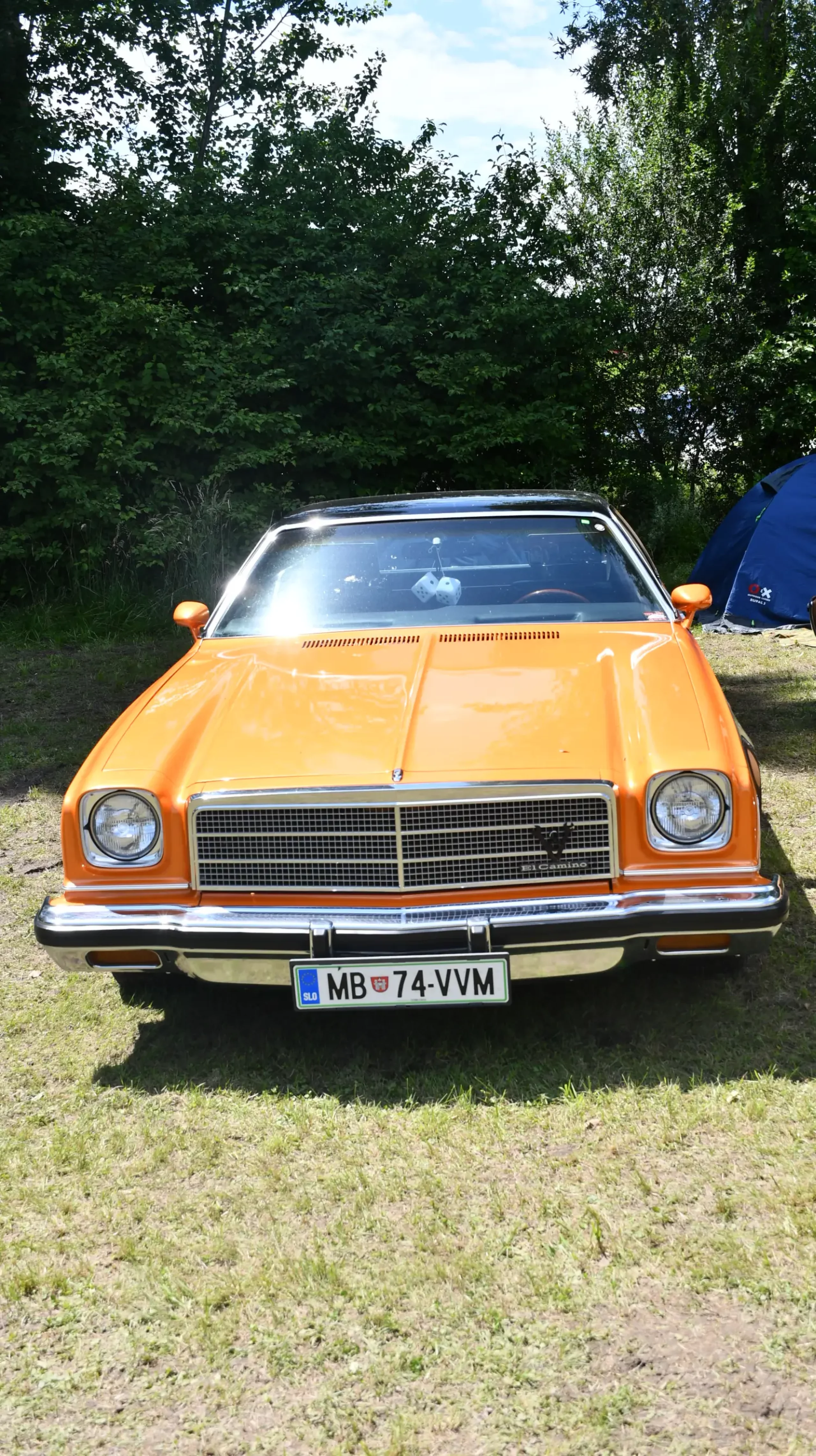 trash and burn, 2024, (13) trash and burn, 2024, (13)