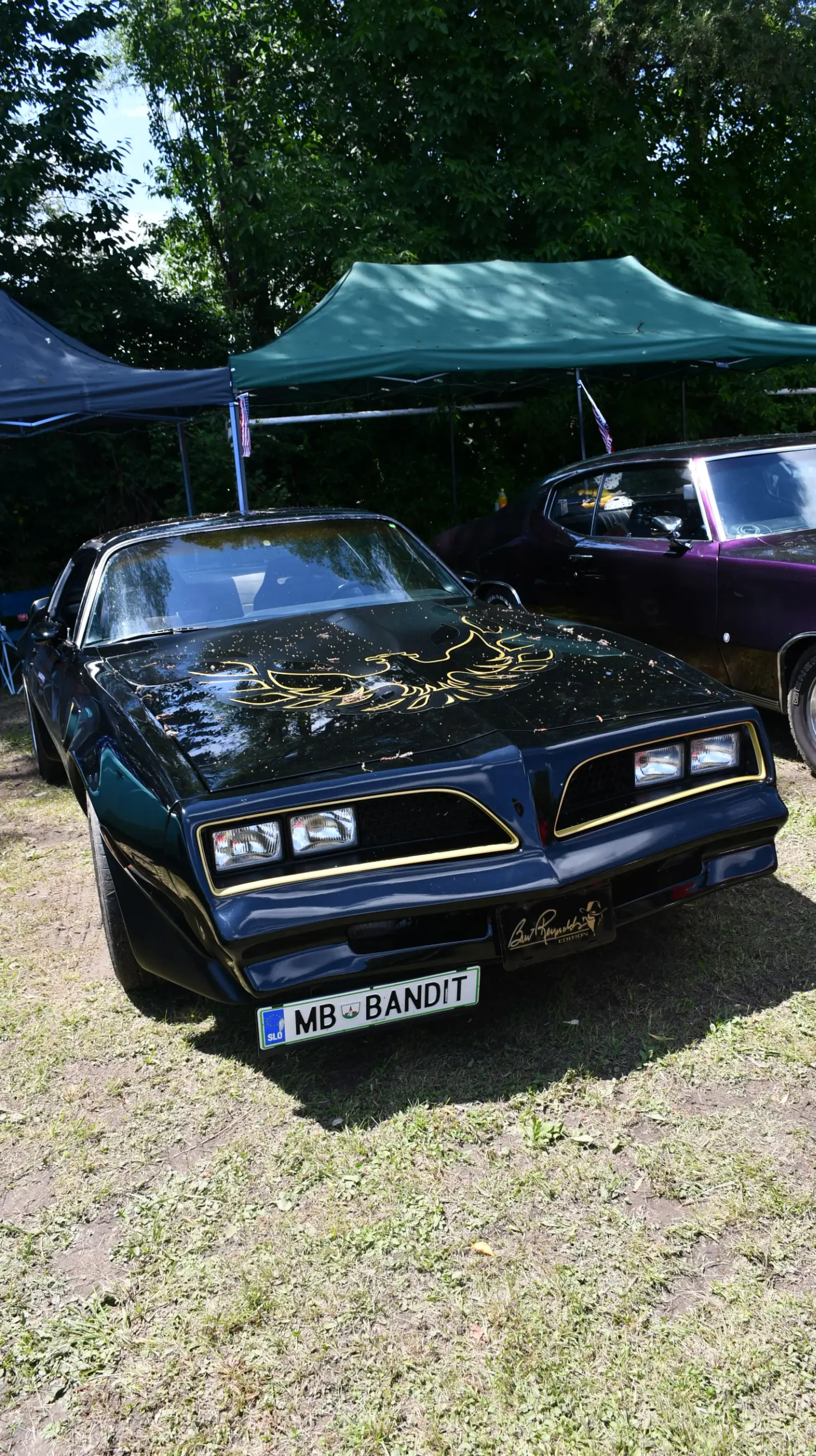 trash and burn, 2024, (15) trash and burn, 2024, (15)