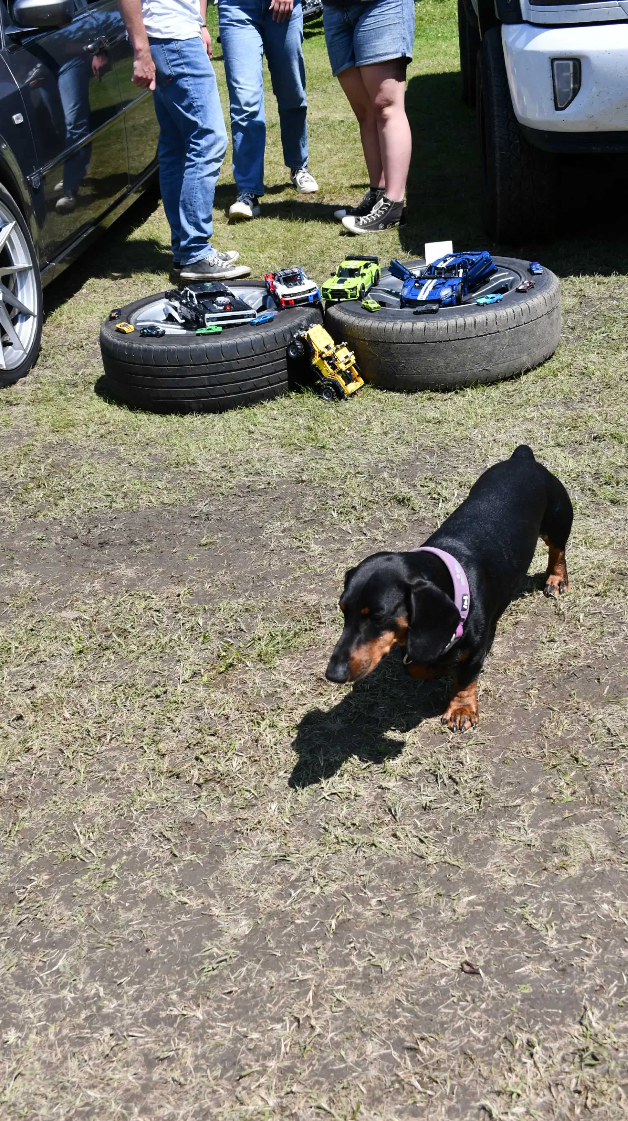 trash and burn, 2024, (24) trash and burn, 2024, (24)