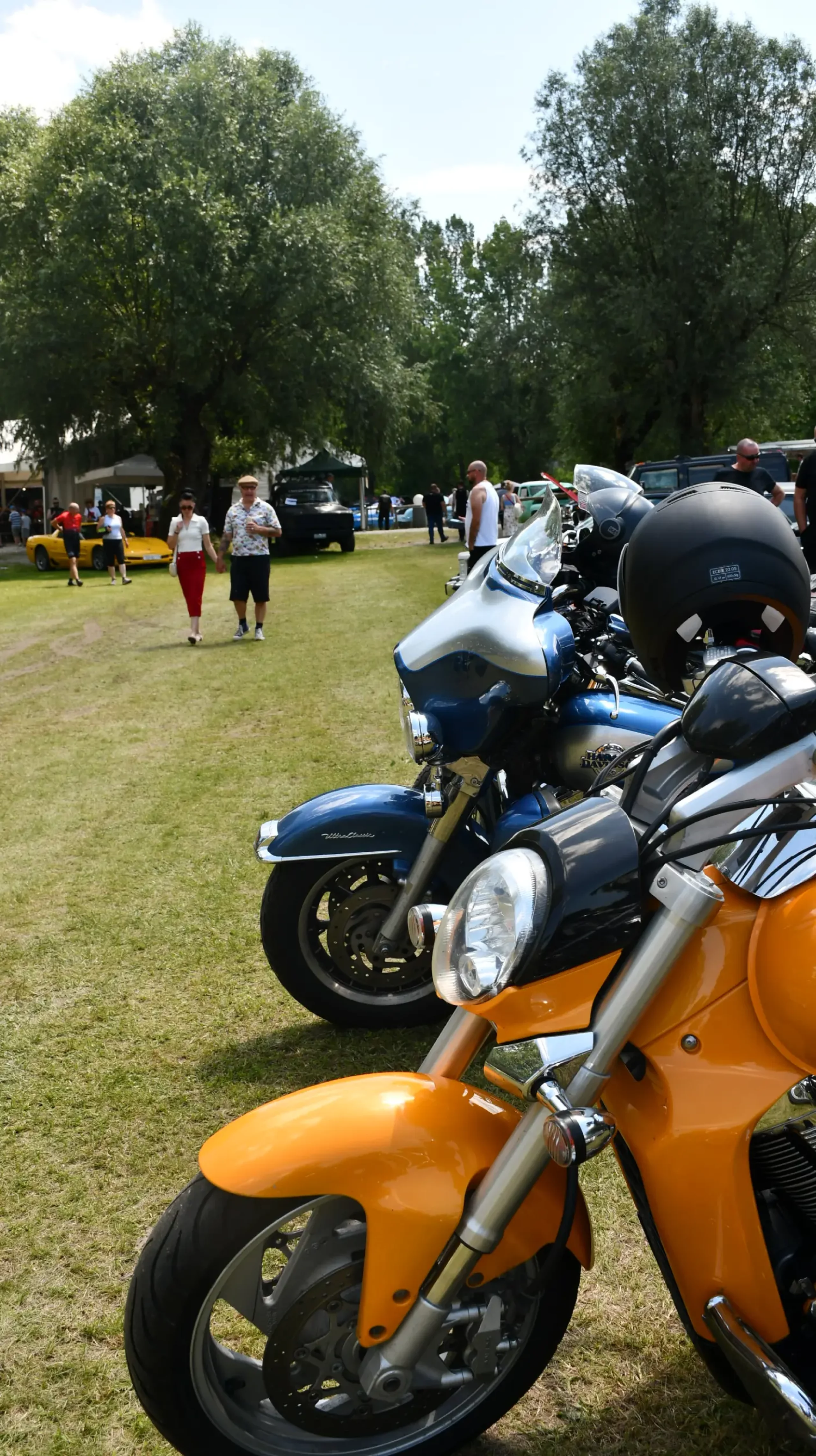 trash and burn, 2024, (29) trash and burn, 2024, (29)