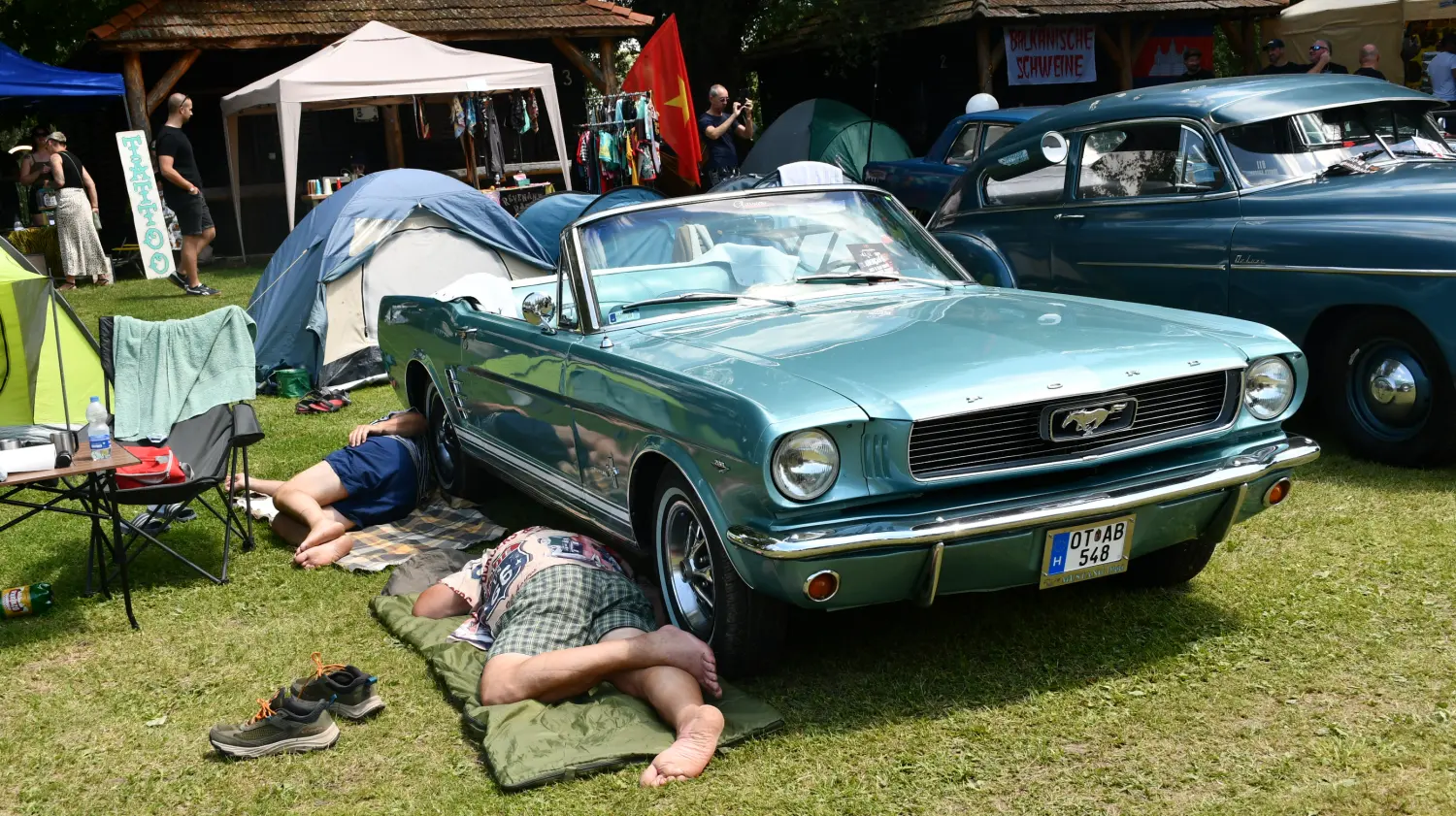 trash and burn, 2024, (30) trash and burn, 2024, (30)