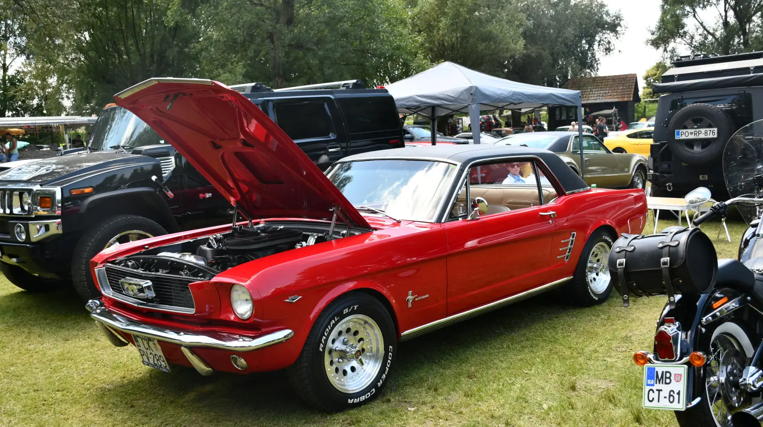 trash and burn, 2024, (33) trash and burn, 2024, (33)