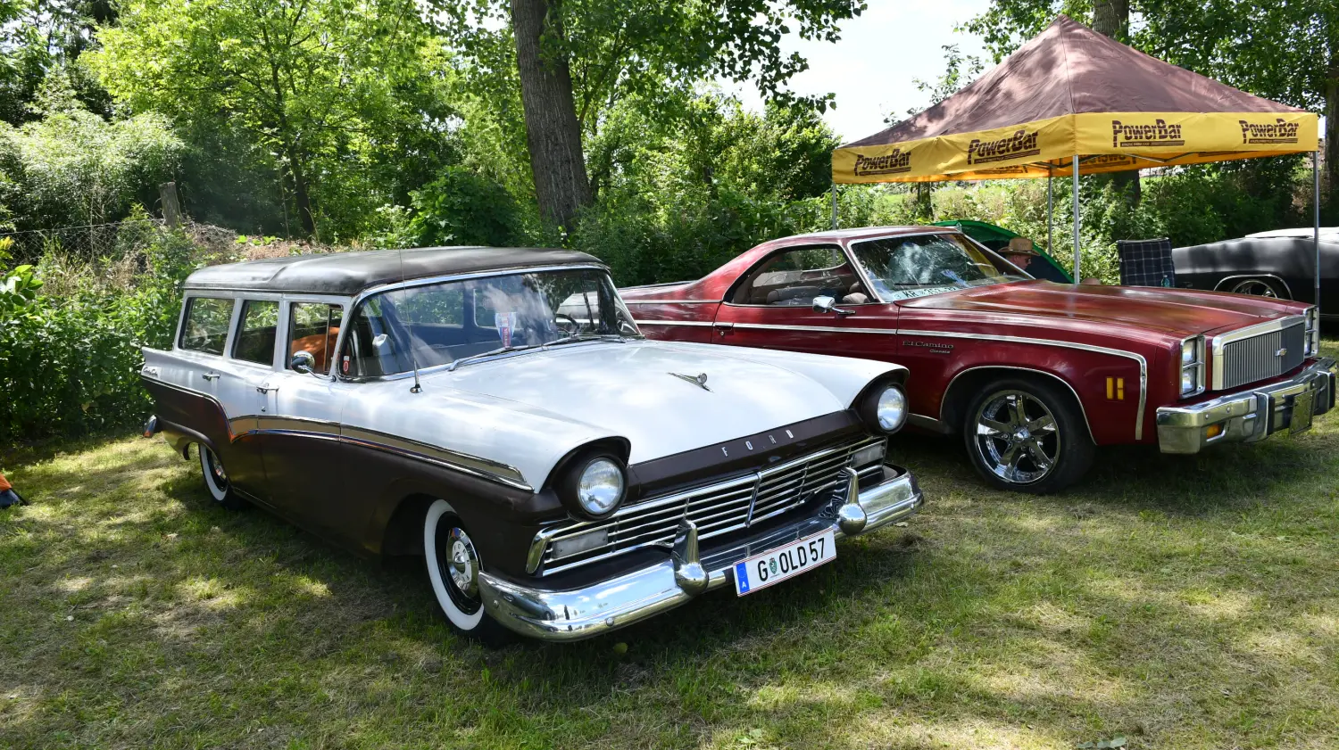 trash and burn, 2024, (59) trash and burn, 2024, (59)