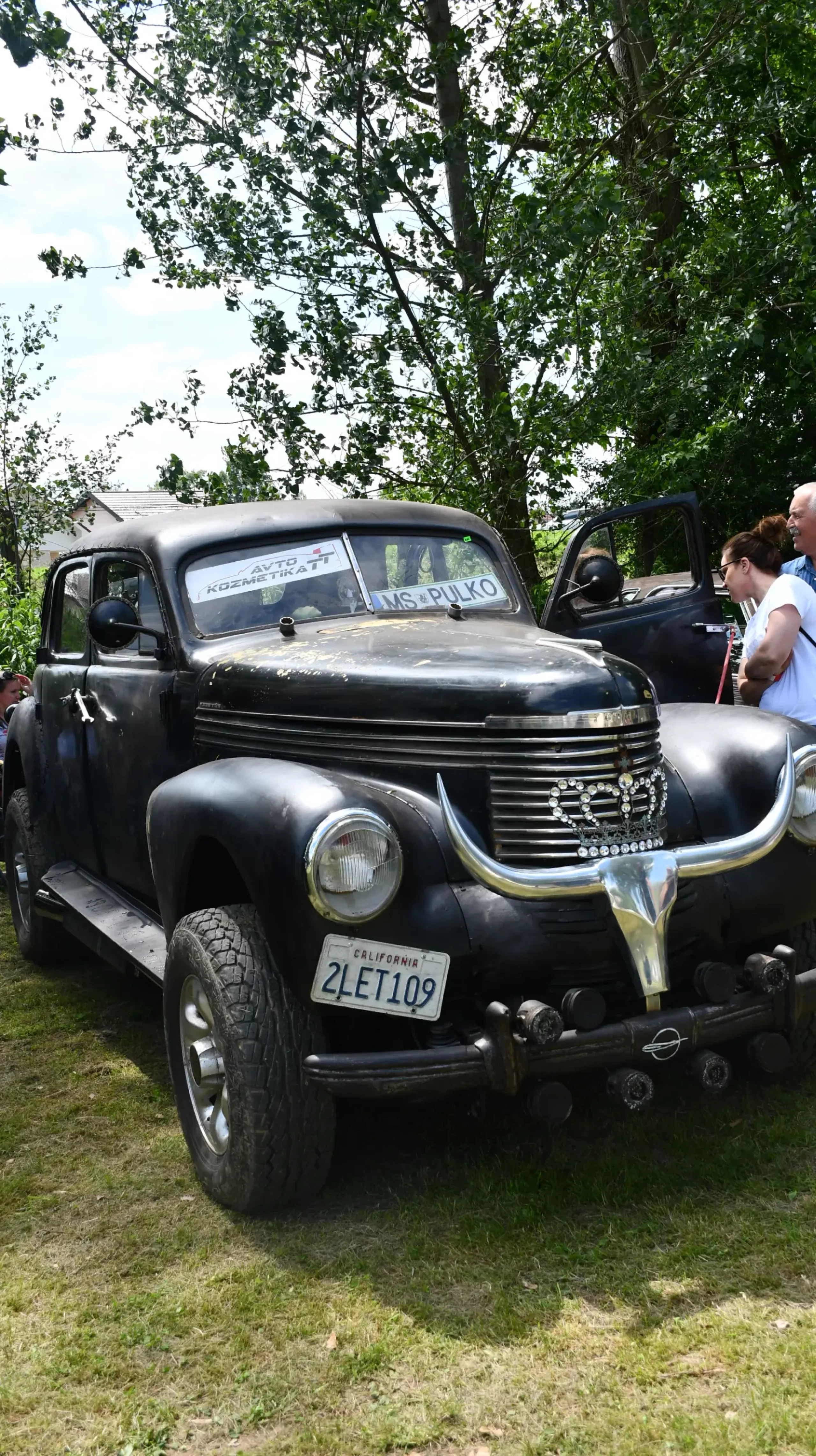 trash and burn, 2024, (62) trash and burn, 2024, (62)