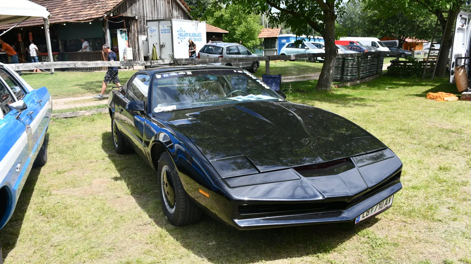 trash and burn, 2024, (72) trash and burn, 2024, (72)