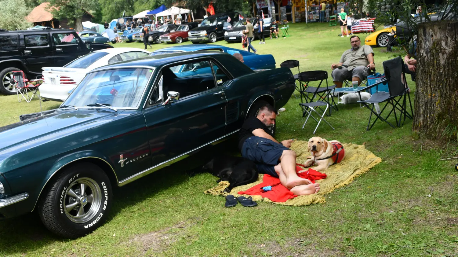 trash and burn, 2024, (73) trash and burn, 2024, (73)