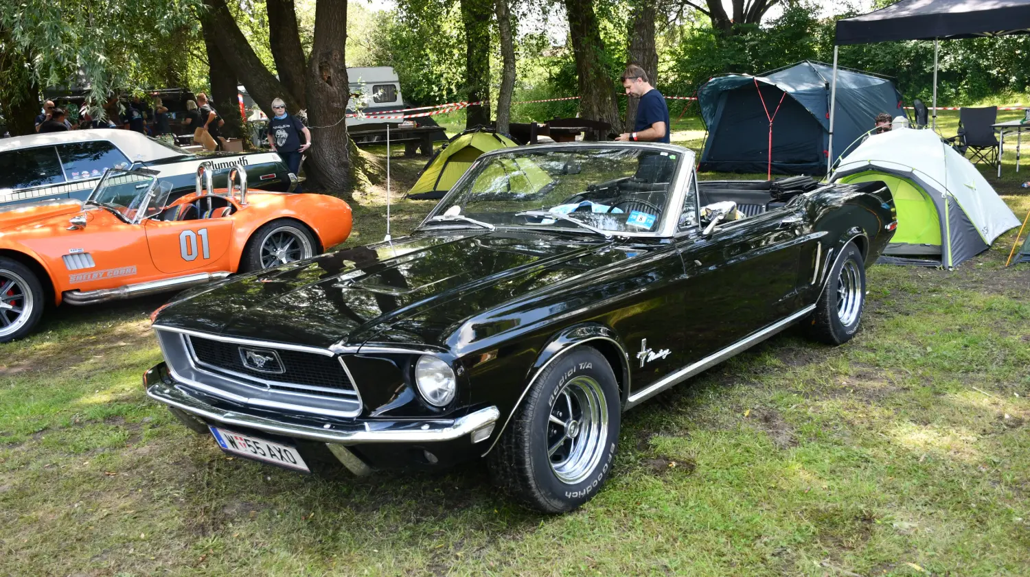 trash and burn, 2024, (8) trash and burn, 2024, (8)