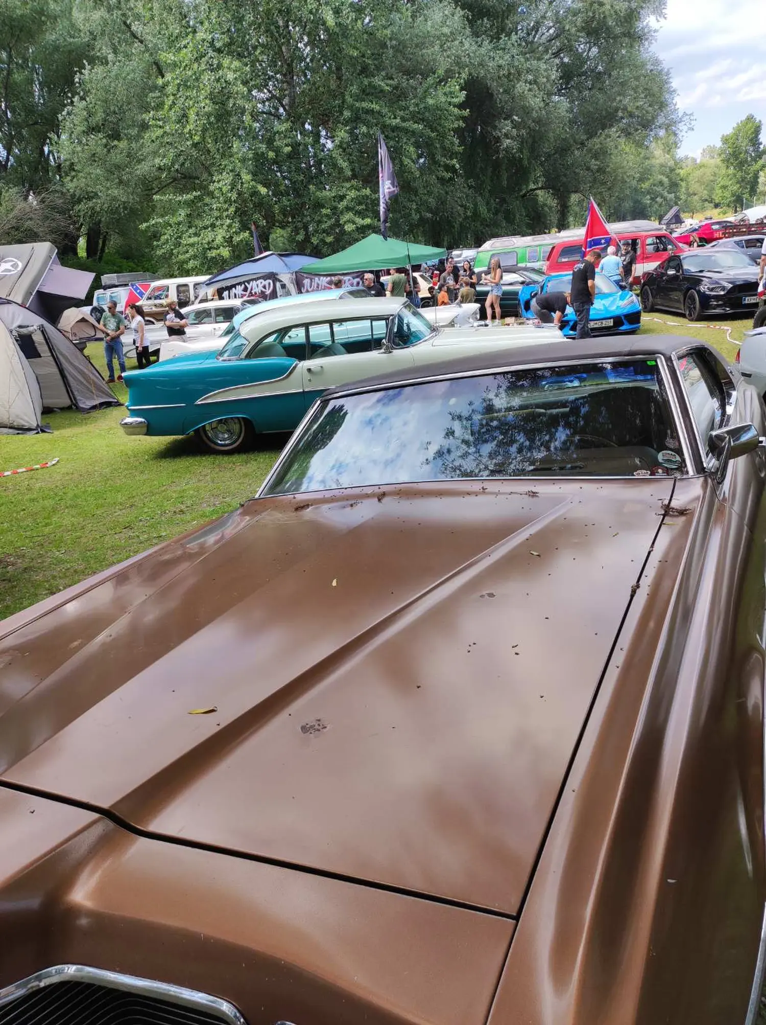 trash and burn, sveti martin na muri,2024 (37) trash and burn, sveti martin na muri,2024 (37)