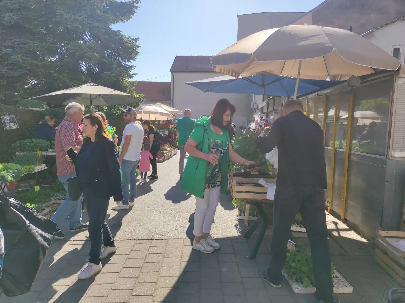 tržnica Prelog 11.5 (12)