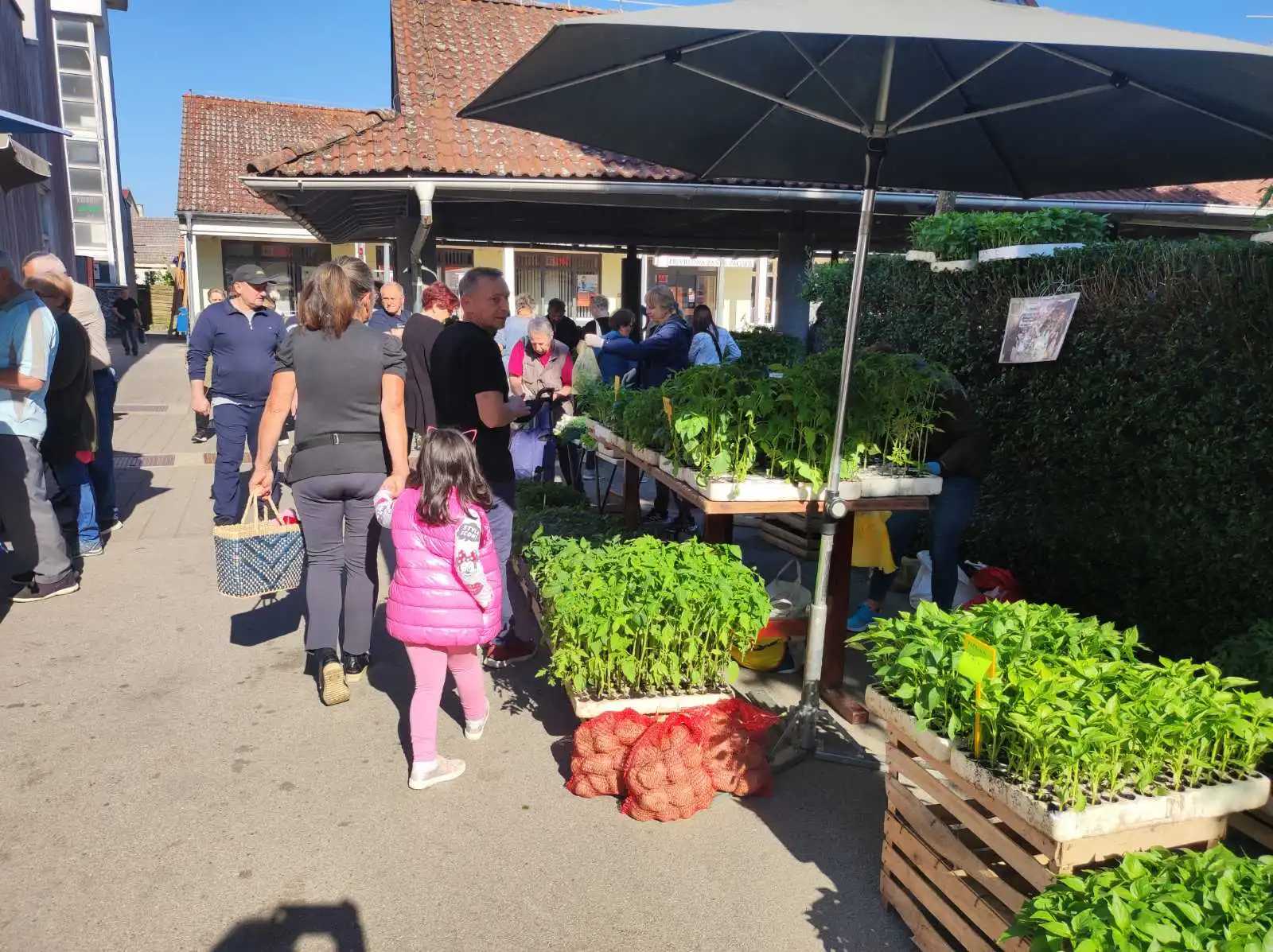 tržnica Prelog 11.5 (16)