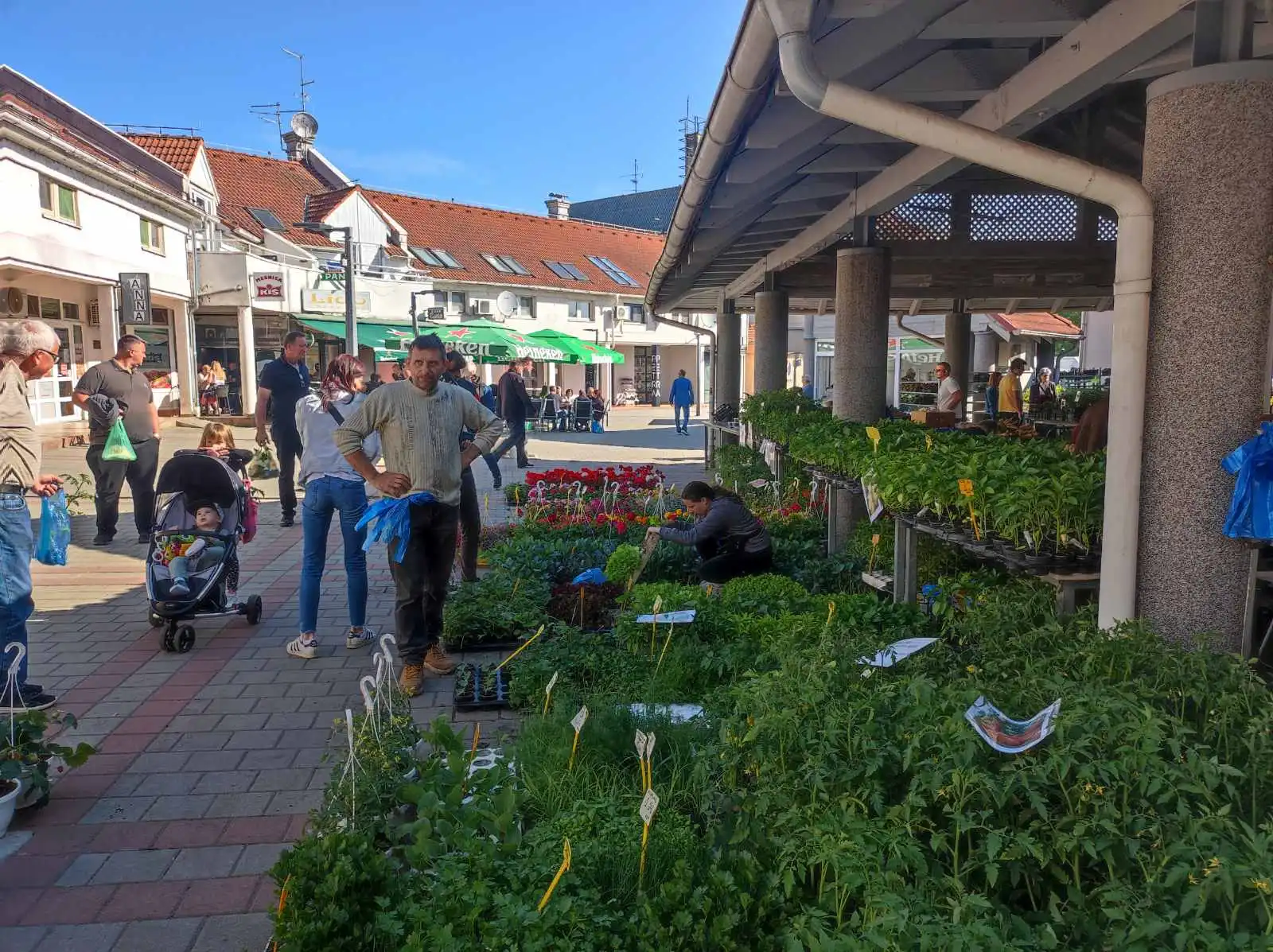 tržnica Prelog 11.5 (21)