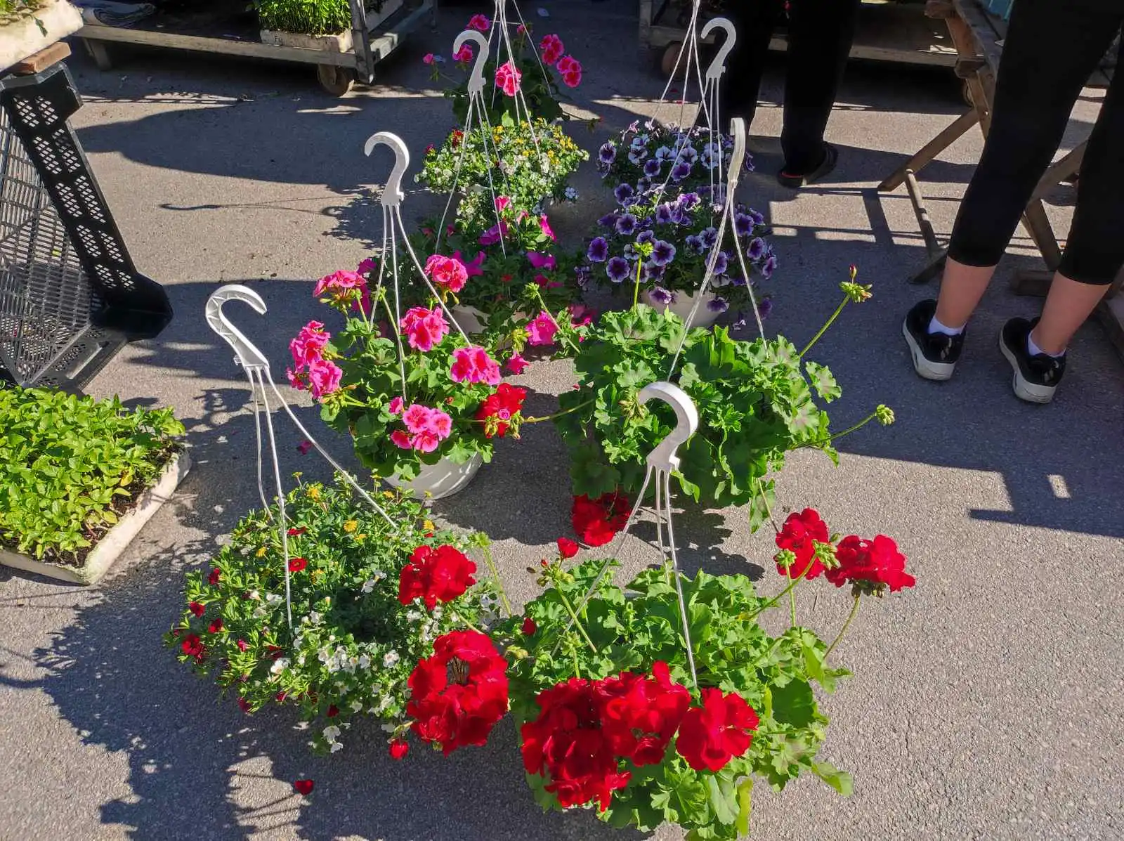 tržnica Prelog 11.5 (22)