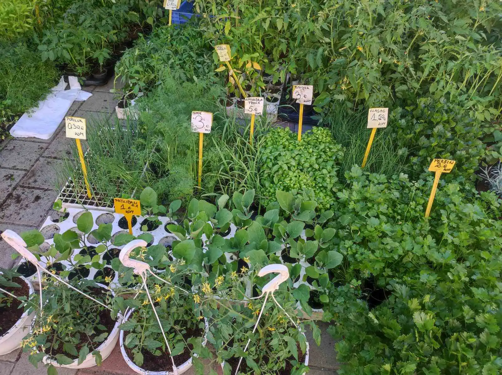 tržnica Prelog 11.5 (26)